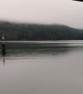 mist on the inlet